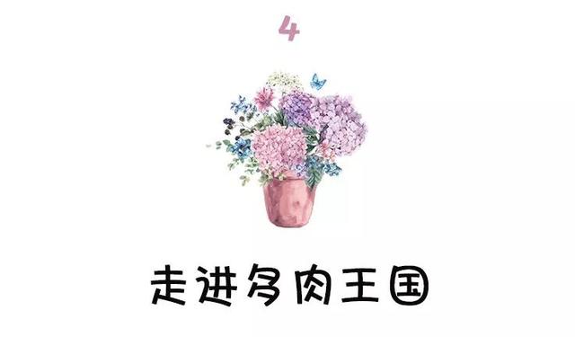 西安大的花卉市场在哪儿（西安最大的花卉市场）(28)