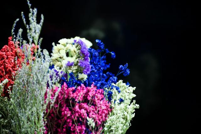 西安大的花卉市场在哪儿（西安最大的花卉市场）(14)