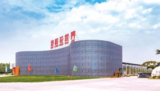 西安大的花卉市场在哪儿（西安最大的花卉市场）(4)