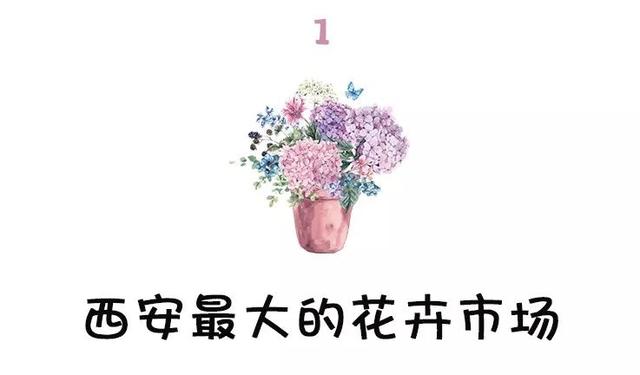 西安大的花卉市场在哪儿（西安最大的花卉市场）(3)