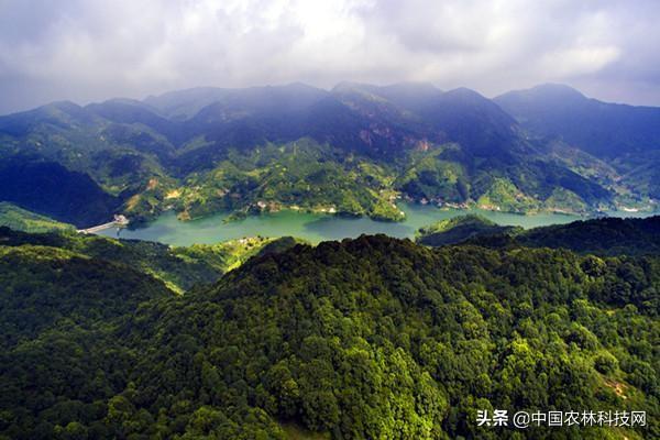 紫金县属于哪个市(广东紫金县是属于哪个市)