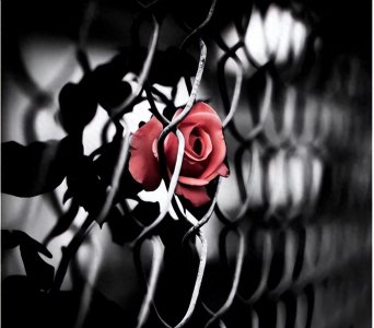 ​女知青51岁拋下三个孩子自杀，熬过了半生艰辛，败给了不堪的婚姻