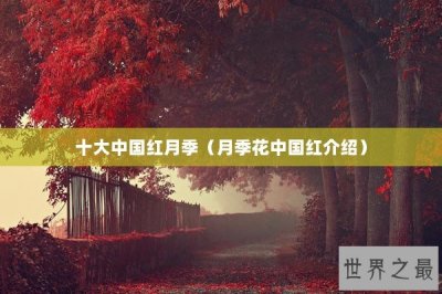 ​十大中国红月季（月季花中国红介绍）