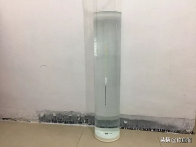 ​钓鲢鳙怎么调漂教学方法（手竿钓鲢鳙调漂的详细步骤）