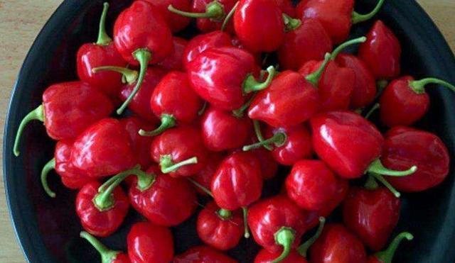 世界上最辣辣椒排名，中国辣椒排第10，第1名实至名归