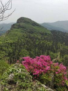 ​宝鸡市一日游哪里好玩