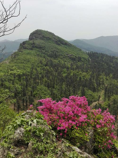 1、北峰山风景区以自然风光和深厚地人文历史文化闻名于世。