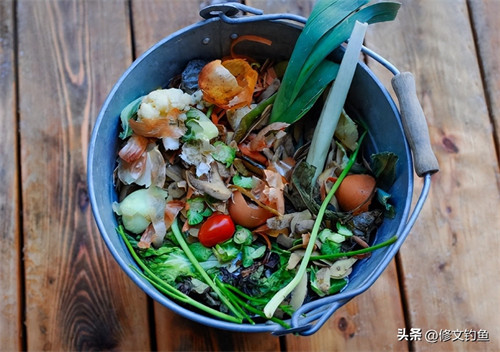 盆养蚯蚓方法简单(自己养蚯蚓怎么养)