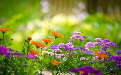 ​立志的名言经典短句，正能量的人生格言