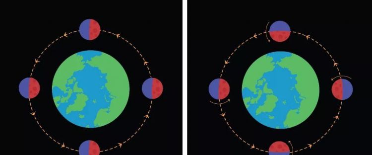 月亮和地球的公转和自转的周期分别是多少