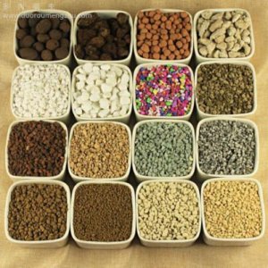 ​多肉植物选择什么样的铺面石