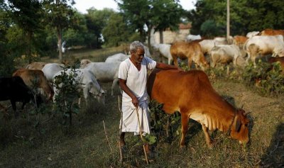 ​印度种姓制把人分几等？莫迪什么种姓？低种姓的他为何能当总理？