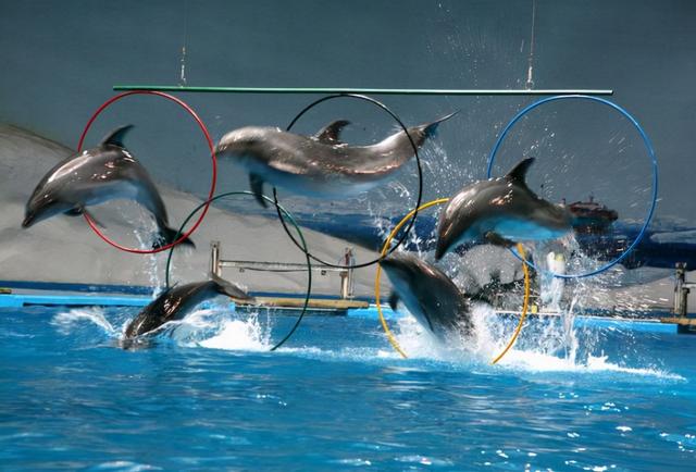 青岛旅游必去十大景点排名（青岛人气景点盘点）(26)