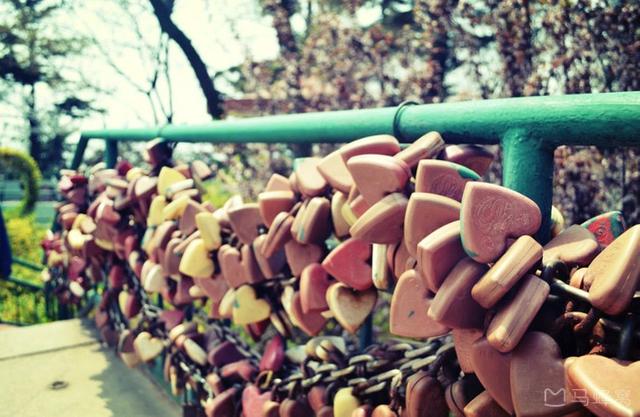 青岛旅游必去十大景点排名（青岛人气景点盘点）(9)