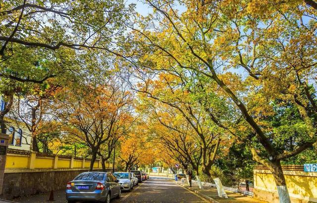 青岛旅游必去十大景点排名（青岛人气景点盘点）(4)