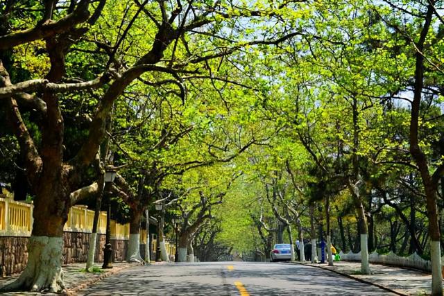 青岛旅游必去十大景点排名（青岛人气景点盘点）(3)