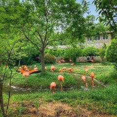 青岛旅游必去十大景点排名（青岛人气景点盘点）(37)