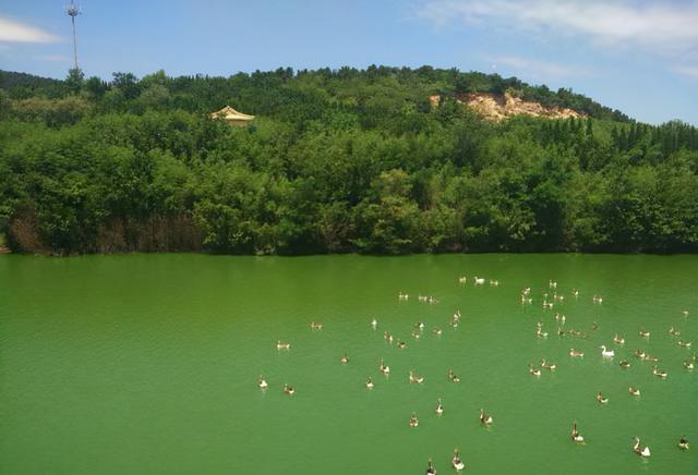 青岛旅游必去十大景点排名（青岛人气景点盘点）(36)