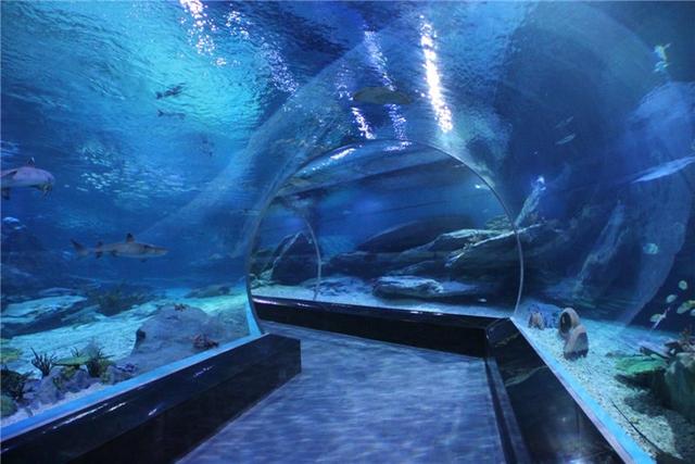 青岛旅游必去十大景点排名（青岛人气景点盘点）(27)