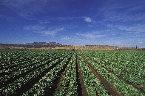 美国人的一些生活习惯（美国人在日常生活中能有多浪费资源）(5)