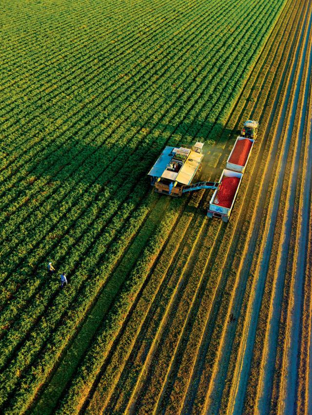 美国人的一些生活习惯（美国人在日常生活中能有多浪费资源）(7)