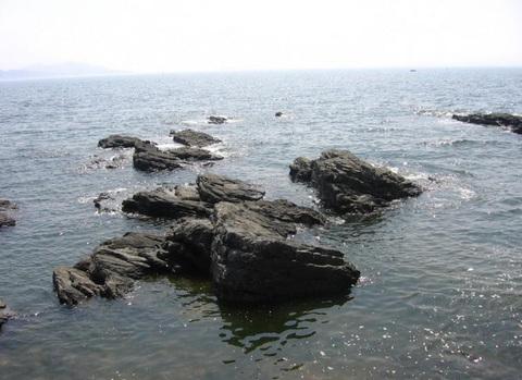 大连有几个海滨浴场哪个好（大连海滨浴场全攻略）(41)