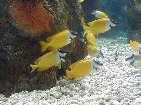 大连有几个海滨浴场哪个好（大连海滨浴场全攻略）(19)