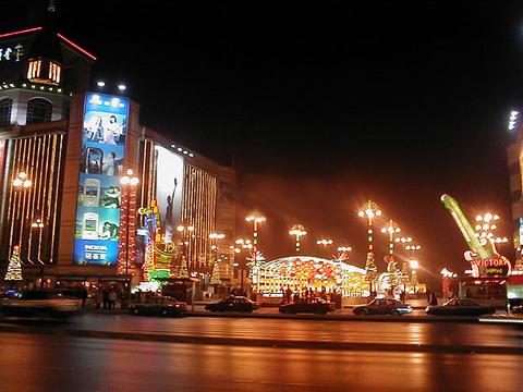 大连有几个海滨浴场哪个好（大连海滨浴场全攻略）(37)