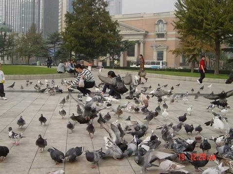 大连有几个海滨浴场哪个好（大连海滨浴场全攻略）(35)