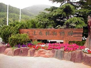 大连有几个海滨浴场哪个好（大连海滨浴场全攻略）(25)