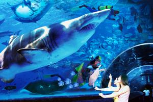 大连有几个海滨浴场哪个好（大连海滨浴场全攻略）(18)