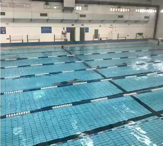 上海没有好的游泳池吗（降温都是骗人的）(15)