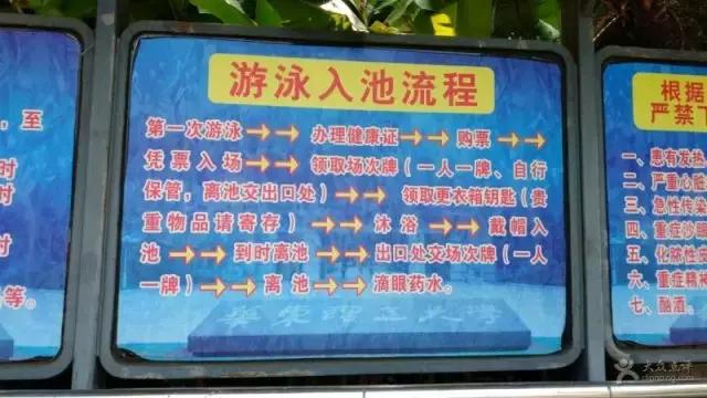 上海没有好的游泳池吗（降温都是骗人的）(21)