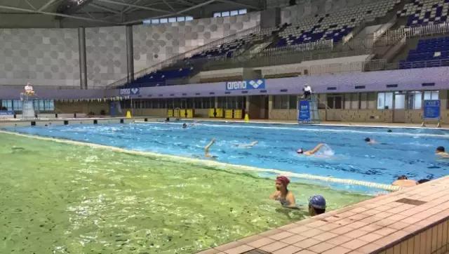 上海没有好的游泳池吗（降温都是骗人的）(16)