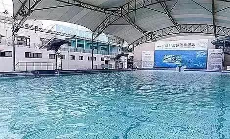 上海没有好的游泳池吗（降温都是骗人的）(20)