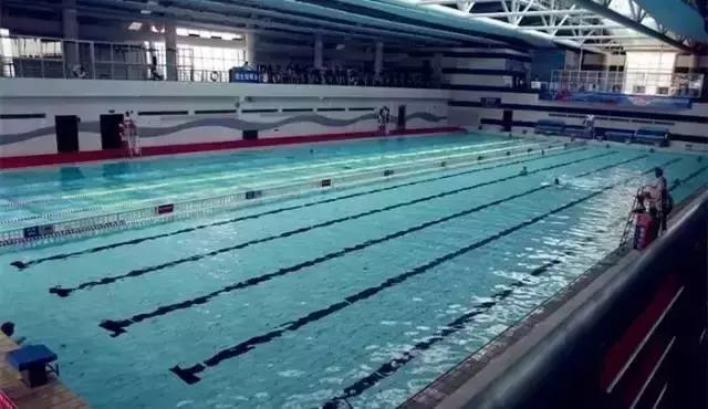 上海没有好的游泳池吗（降温都是骗人的）(30)