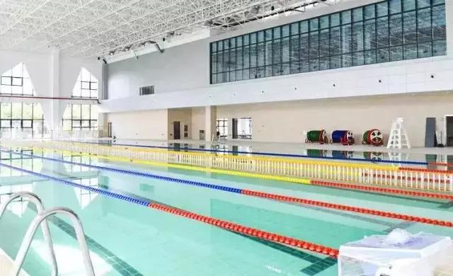 上海没有好的游泳池吗（降温都是骗人的）(11)