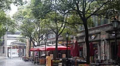 上海最值得去的免费景点推荐（最新上海22个免费游玩的景点）(11)