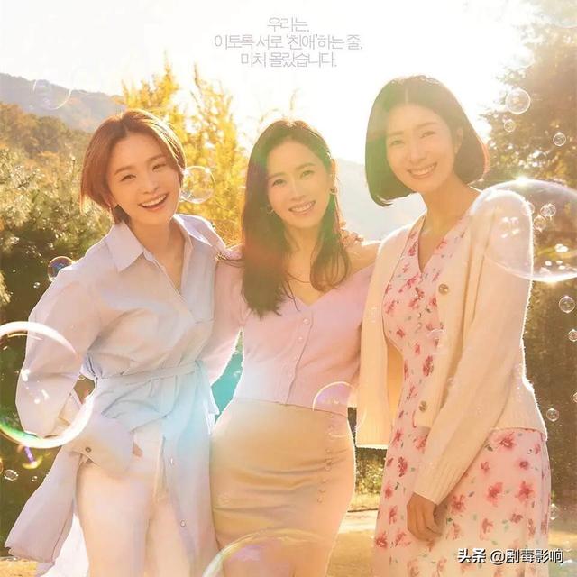 最新韩国电视剧（排名不分先后2025年韩剧必看指南）(3)