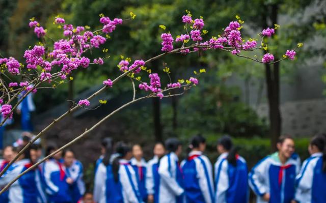 成都石室最好的校区（靠实力和成绩说话的石室天府）(22)