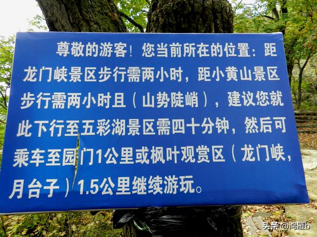 本溪大峡谷一日游攻略（本溪最具挑战的旅游线路）(90)