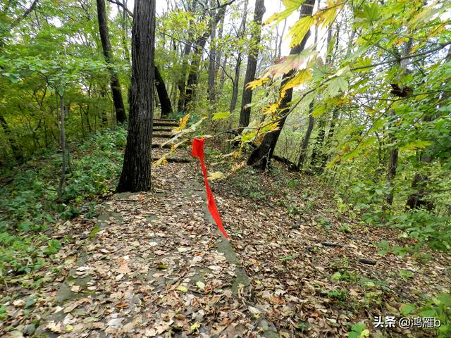 本溪大峡谷一日游攻略（本溪最具挑战的旅游线路）(91)