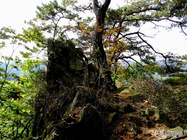 本溪大峡谷一日游攻略（本溪最具挑战的旅游线路）(43)