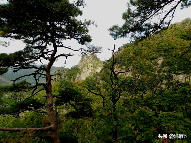 本溪大峡谷一日游攻略（本溪最具挑战的旅游线路）(40)