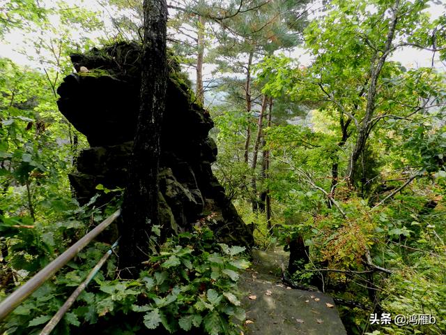 本溪大峡谷一日游攻略（本溪最具挑战的旅游线路）(38)