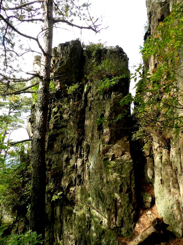 本溪大峡谷一日游攻略（本溪最具挑战的旅游线路）(44)