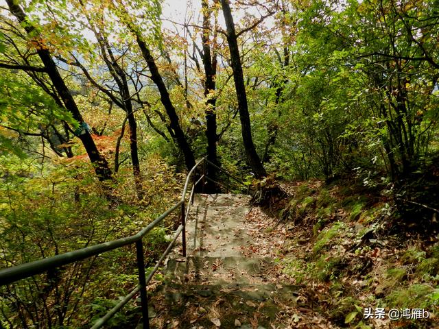 本溪大峡谷一日游攻略（本溪最具挑战的旅游线路）(61)