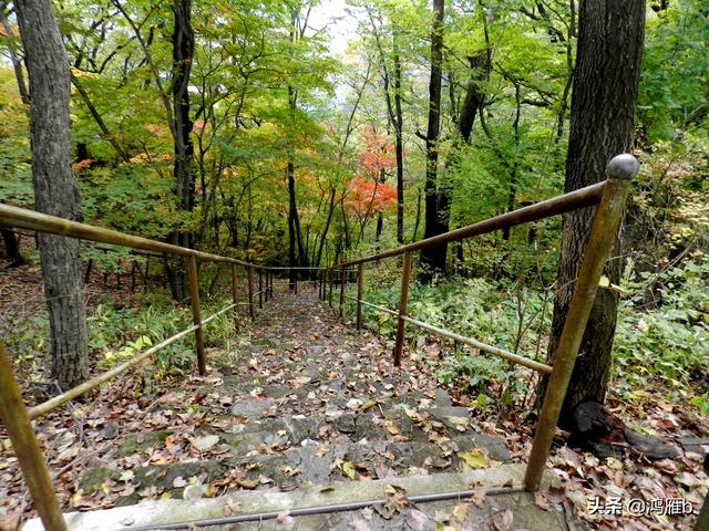 本溪大峡谷一日游攻略（本溪最具挑战的旅游线路）(89)