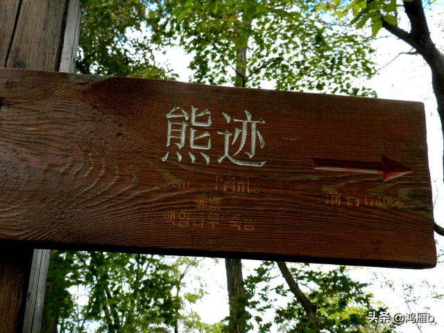 本溪大峡谷一日游攻略（本溪最具挑战的旅游线路）(86)