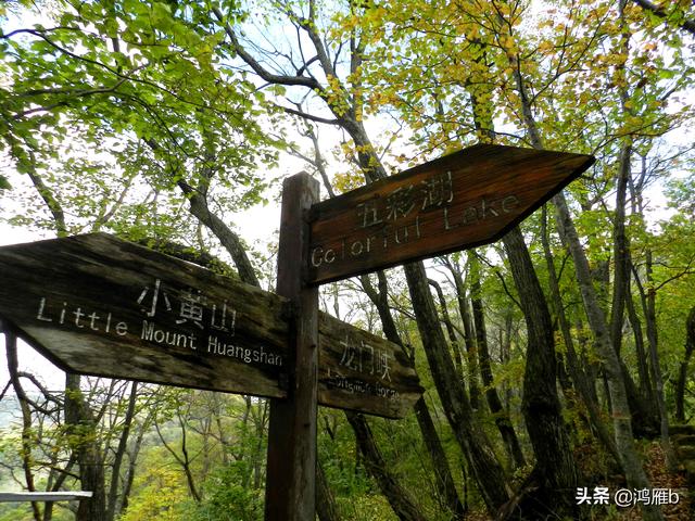 本溪大峡谷一日游攻略（本溪最具挑战的旅游线路）(88)